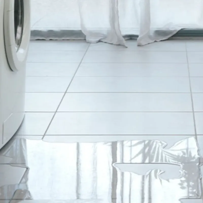 Appliance Leak Cleanup in Lawrence, IN