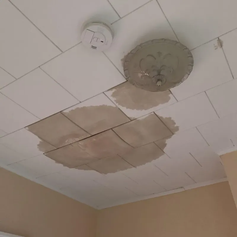 Ceiling Water Damage Repair in Lawrence, IN