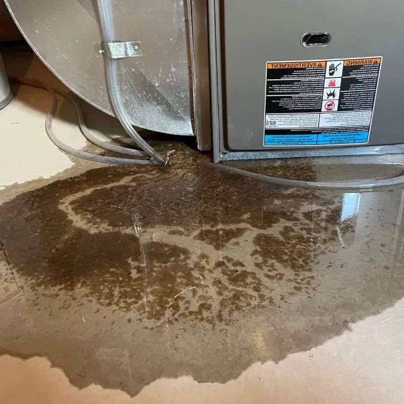 Pipe Burst and Leak Restoration in Lawrence, IN
