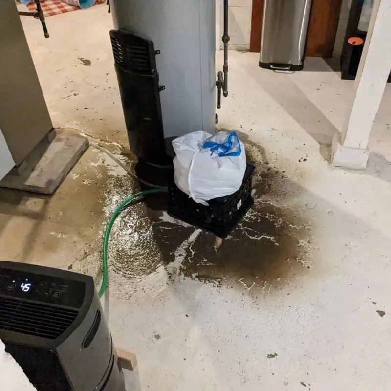 Sewage Backup Cleanup Service in Lawrence, IN